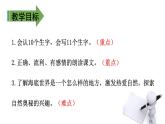 部编版语文三年级下册-07第七单元-02海底世界-课件05