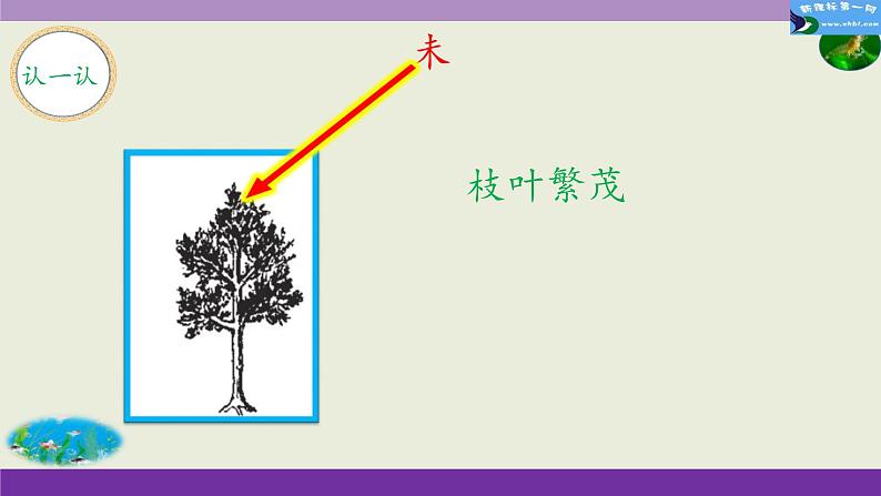 部编版语文三年级下-04第四单元-03小虾-课件03第5页