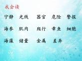 部编版语文三年级下册-07第七单元-02海底世界-课件03