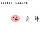 部编版语文三年级下-04第四单元-02蜜蜂-课件06