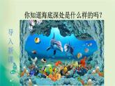 部编版语文三年级下册-07第七单元-02海底世界-课件02