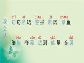 部编版语文三年级下册-07第七单元-02海底世界-课件02