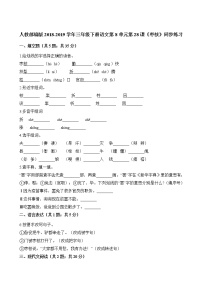 语文人教部编版28* 枣核精品课时训练