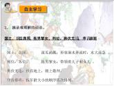 部编版语文五年级下册-02第二单元-03猴王出世-课件04