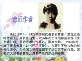 部编版语文五年级下册-01第一单元-02祖父的园子-课件02