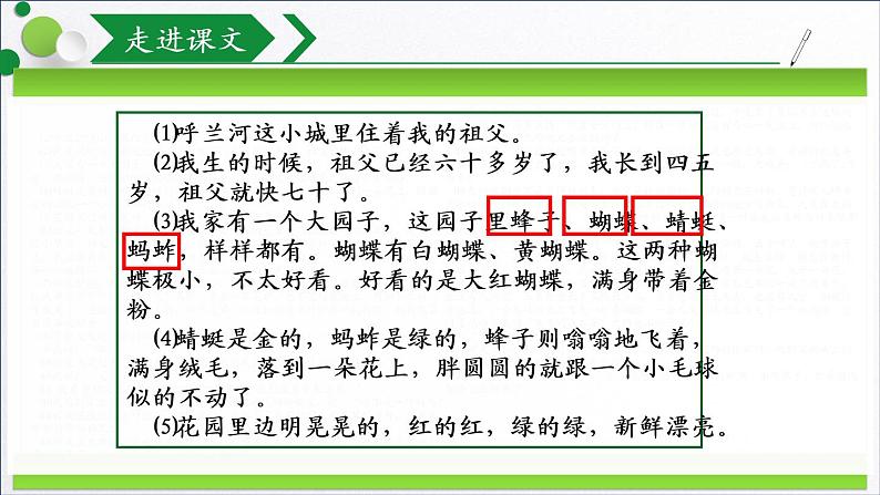 部编版语文五年级下册-01第一单元-02祖父的园子-课件03第5页