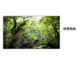 部编版语文五年级下册-06第六单元-04习作：神奇的探险之旅-课件02
