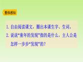 部编版语文五年级下册-08第八单元-03童年的发现-课件02