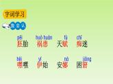部编版语文五年级下册-08第八单元-03童年的发现-课件02