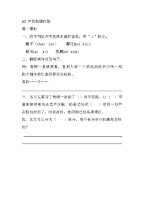 小学语文人教部编版四年级下册20* 芦花鞋精品课后测评