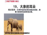 人教版（部编版）小学语文二年级下册 19.大象的耳朵 （第二课时）课件