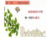 人教版（部编版）小学语文二年级下册 19.大象的耳朵 （第二课时）课件
