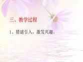 人教版（部编版）小学语文二年级下册 19.大象的耳朵 （第一课时）课件