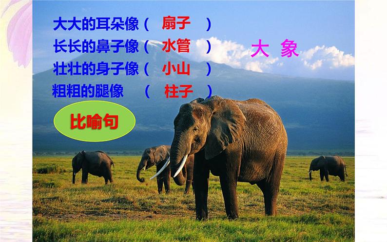 人教版（部编版）小学语文二年级下册 19.大象的耳朵 （第一课时）课件06