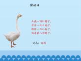 部编版语文四年级下册-04第四单元-03白鸽-课件03