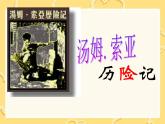 部编版语文六年级下册-02第二单元-03汤姆·索亚历险记-课件01