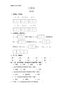 语文三年级下册3 荷花同步达标检测题