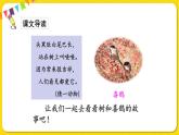 人教部編版（五四制）一年級下冊第三單元——6.樹和喜鵲課件PPT