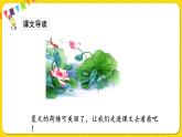 人教部編版（五四制）一年級(jí)下冊(cè)第六單元——13.荷葉圓圓課件PPT