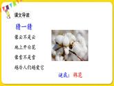 人教部编版（五四制）一年级下册第八单元——19.棉花姑娘课件PPT