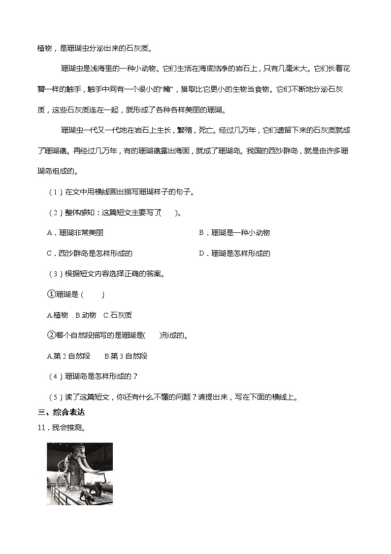 小学语文四年级下册第5课《琥珀》同步试卷03