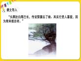 人教部编版（五四制）二年级下册第四单元——9.枫树上的喜鹊课件PPT