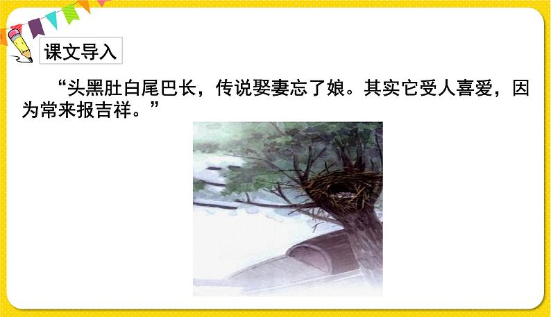 人教部编版（五四制）二年级下册第四单元——9.枫树上的喜鹊课件PPT02