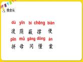人教部编版（五四制）二年级下册第四单元——9.枫树上的喜鹊课件PPT
