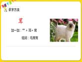 人教部編版（五四制）二年級(jí)下冊(cè)第四單元——11.我是一只小蟲(chóng)子課件PPT