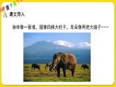 人教部編版（五四制）二年級下冊第七單元——19.大象的耳朵課件PPT