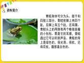 人教部編版（五四制）二年級(jí)下冊(cè)第七單元——21.青蛙賣泥塘課件PPT