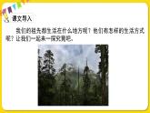 人教部編版（五四制）二年級下冊第八單元——23.祖先的搖籃課件PPT