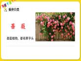 人教部編版（五四制）二年級下冊第八單元——23.祖先的搖籃課件PPT