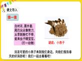 人教部编版（五四制）三年级下册第一单元——2.燕子课件PPT