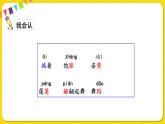 人教部編版（五四制）三年級下冊第一單元——3.荷花課件PPT