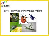 人教部编版（五四制）三年级下册第一单元——4.昆虫备忘录课件PPT