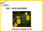人教部編版（五四制）三年級(jí)下冊(cè)第四單元—13.花鐘課件PPT