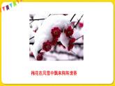 人教部編版（五四制）三年級(jí)下冊(cè)第四單元—13.花鐘課件PPT