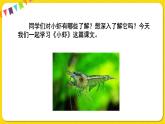 人教部編版（五四制）三年級下冊第四單元——15.小蝦課件PPT