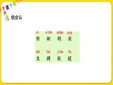 人教部編版（五四制）三年級下冊第四單元——15.小蝦課件PPT