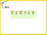 人教部编版（五四制）三年级下册第五单元——16.宇宙的另一边课件PPT