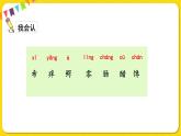 人教部编版（五四制）三年级下册第五单元——17.我变成了一棵树课件PPT