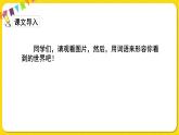 人教部编版（五四制）三年级下册第七单元——22.我们奇妙的世界课件PPT