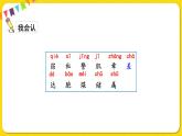人教部编版（五四制）三年级下册第七单元——23.海底世界课件PPT