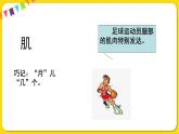 人教部编版（五四制）三年级下册第七单元——23.海底世界课件PPT