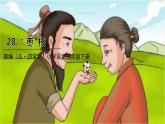 人教部編版（五四制）三年級下冊第八單元——28.棗核課件PPT