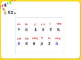 人教部編版（五四制）三年級下冊第八單元——28.棗核課件PPT