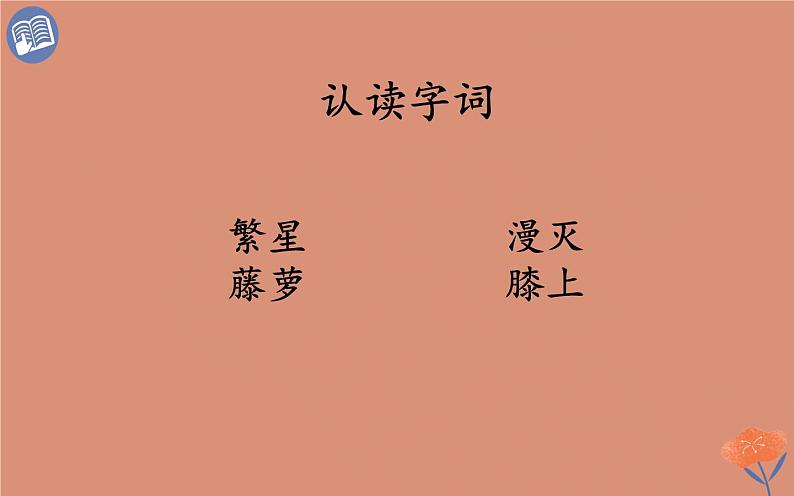 人教版（部编版）小学语文四年级下册  9.短诗三首   繁星（七一）  课件第3页