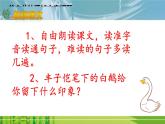 人教版（部编版）小学语文四年级下册  15.白鹅  课件