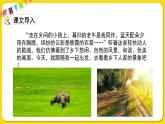 人教部编版（五四制）四年级下册第一单元——2.乡下人家课件PPT